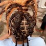 Starter locs