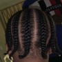 Poetic Justice Braids