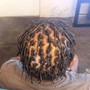 Starter Dreadlocks