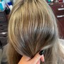 Root Touch Up