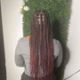 Micro locs past shoulder