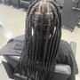 Small Knotless or Tribal Braids/Twists