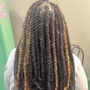 Medium Senegalese Twist