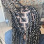 Medium Senegalese Twist med back