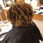 Root Touch Up