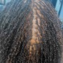 Microlocs extentions w/hair