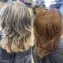 Partial Highlights and style