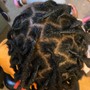 Loc Color Service w/Retwist &amp; Style