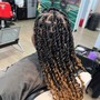 High Ponytail Feed in Braids