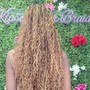 Tree Braids