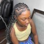 Natural Twists (KIDS)