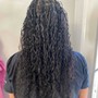 Knotless Braids Jumbo (Standard Length)