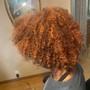 Root Touch Up