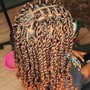 Various twist extensions