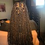 Waist length Passion Twist