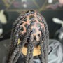 Ombré locs mid shaft/ tips