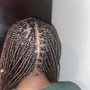 Tree Braids