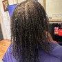 Micro Twists (natural hair)