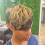 Partial Highlights and root touch up