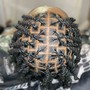 Loc retwist with two strand