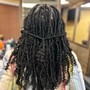 Starter Locs