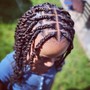 Lemonade braids/ Braided ponytail (HAIR INCLUDED)