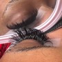 Bottom  Lashes