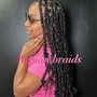 2 Strand Twists/Plaits