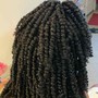 Natural Twists