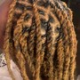 Loc Retwist