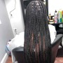 Kid's knotless braids