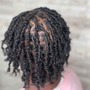 Small Starter Locs