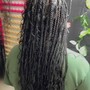 Natural Twists