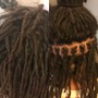 Starter Dreadlocks