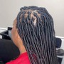 Starter Locs