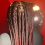 Box Braids (shoulder length *+Hair )