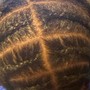 Starter Twists