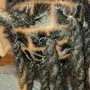 Loc retwist