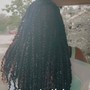 Poetic Justice Braids