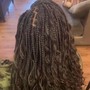 Box Braids (small)