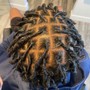 Mid-back Butterfly Locs