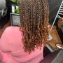 Two strand  twist/Flat twist