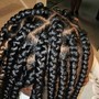 Fusion Braid Extensions