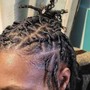 Natural 2 Strand Twists