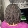 Natural Coils ( short to medium length)