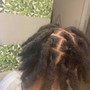 Loc Maintenance (retwist)