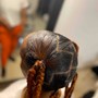 Braided Ponytail