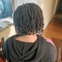 Natural Twists mini