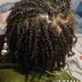 Individual Braids