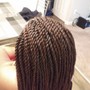 Poetic Justice Braids